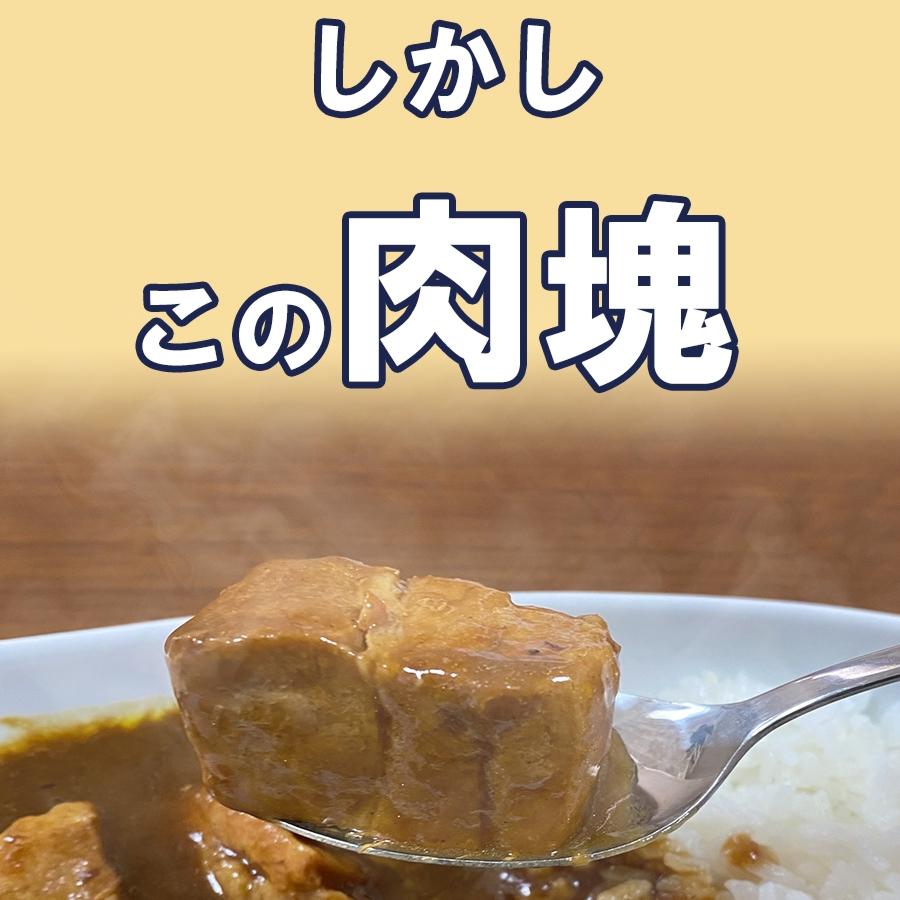 浪花乃豚角カリー ナニワノブタカクカリー 8個 260g×8パック レトルト カレー 買い置き ケース買い 歳末 お歳暮 年末グルメ 贈答 迎春 | おさかな問屋 魚奏 | 06