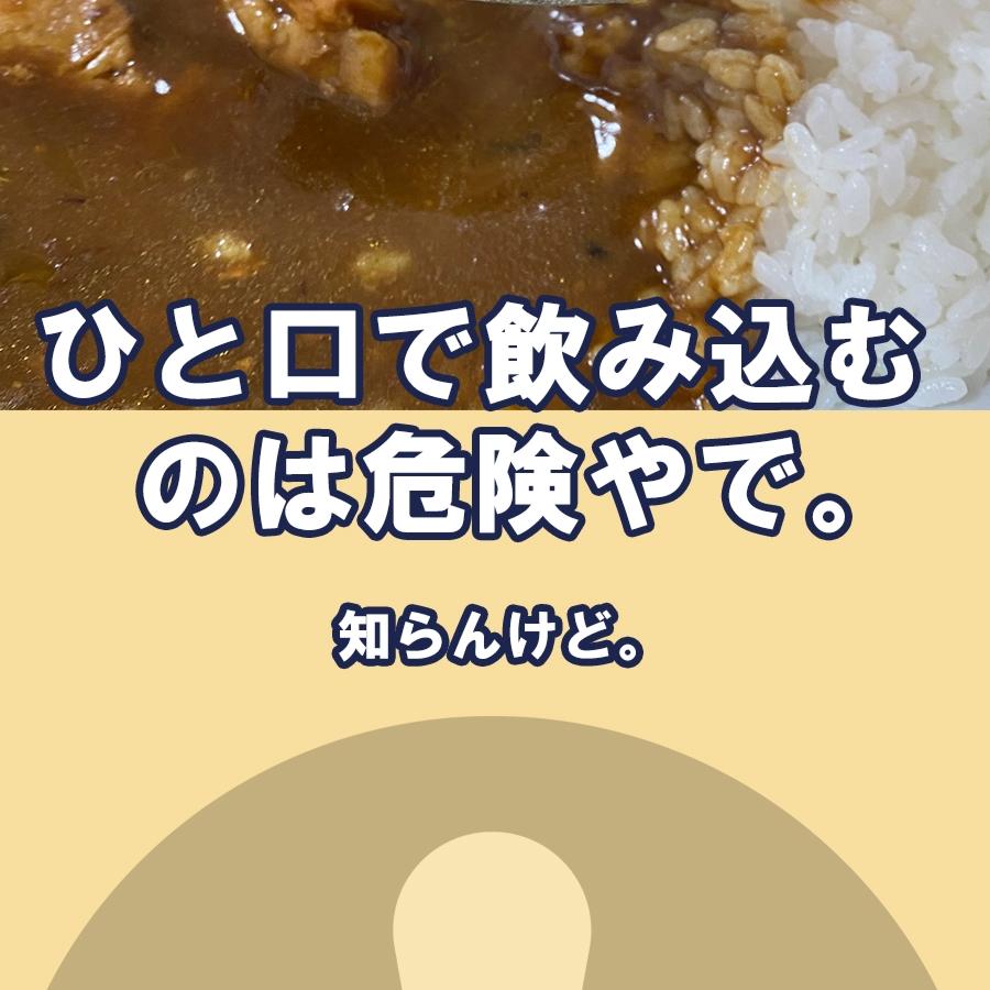 浪花乃豚角カリー ナニワノブタカクカリー 8個 260g×8パック レトルト カレー 買い置き ケース買い 歳末 お歳暮 年末グルメ 贈答 迎春 | おさかな問屋 魚奏 | 07