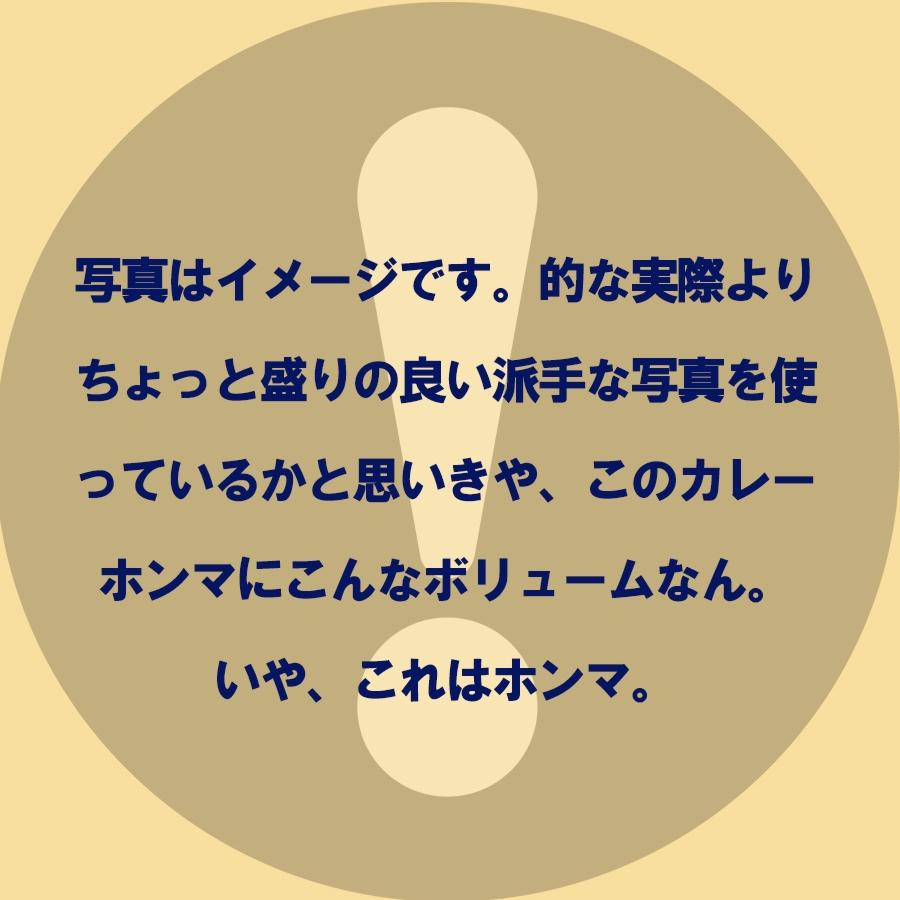 浪花乃豚角カリー ナニワノブタカクカリー 8個 260g×8パック レトルト カレー 買い置き ケース買い 歳末 お歳暮 年末グルメ 贈答 迎春 | おさかな問屋 魚奏 | 08