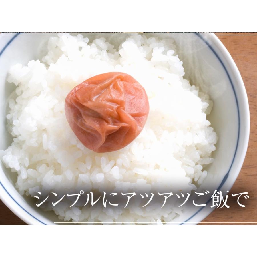 紀州南高梅 はちみつ梅 700g(350g×2パック）梅干 つぶれ梅 訳あり みなべ 塩分8％ ネコポス 母の日 父の日 敬老 中元 ギフト | おさかな問屋 魚奏 | 06