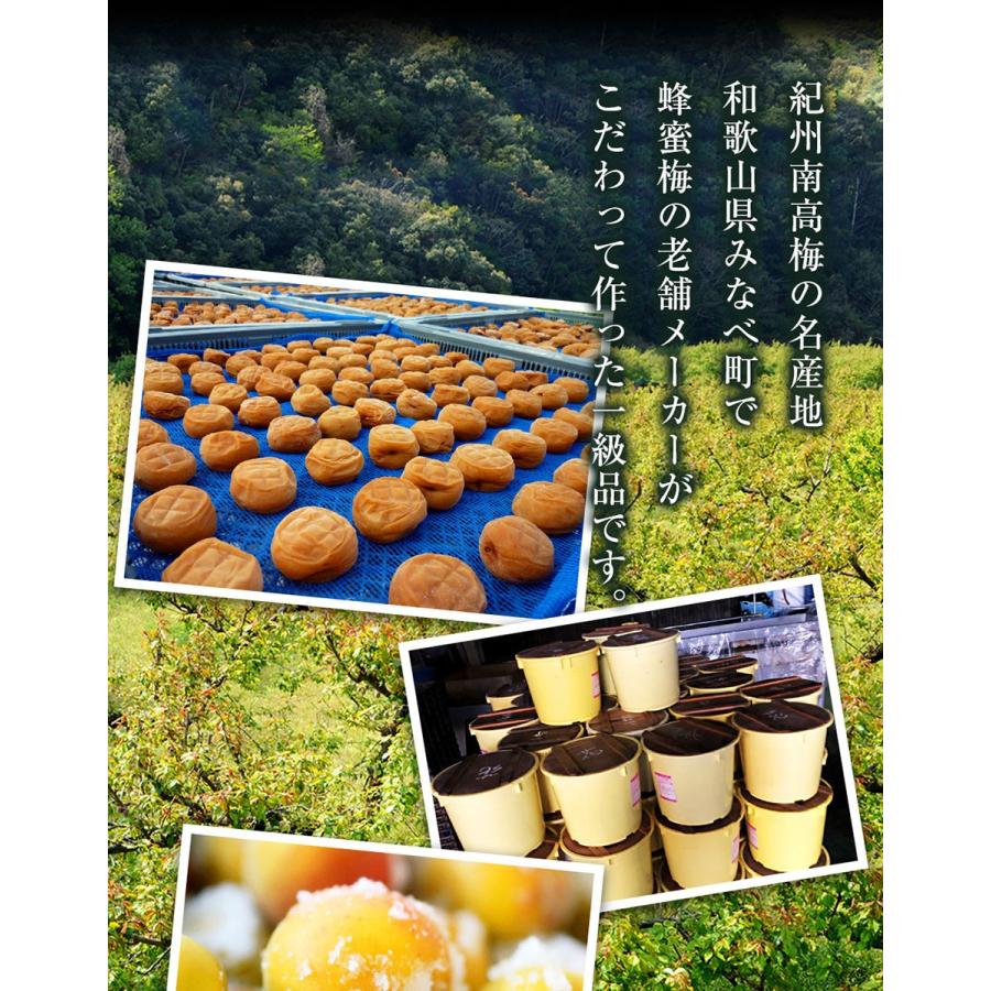 紀州南高梅使用はねだし梅 はちみつ梅 350g 塩分8％ 追跡可能ネコポス 梅干し 梅干 つぶれ梅 お取り寄せ 歳末 お歳暮 年末グルメ 贈答 迎春 | おさかな問屋 魚奏 | 04