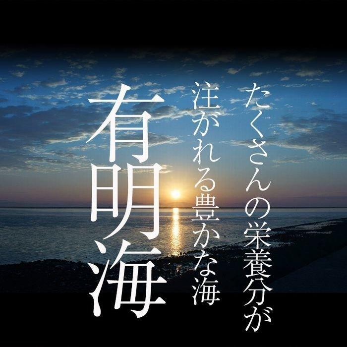 ＼今ならポイントさらに5倍／ 有明産 高級焼き海苔 全型計25枚 訳あり ネコポス 鮨屋ご用達 のり 恵方巻 歳末 お歳暮 年末グルメ 贈答 迎春 | おさかな問屋 魚奏 | 06