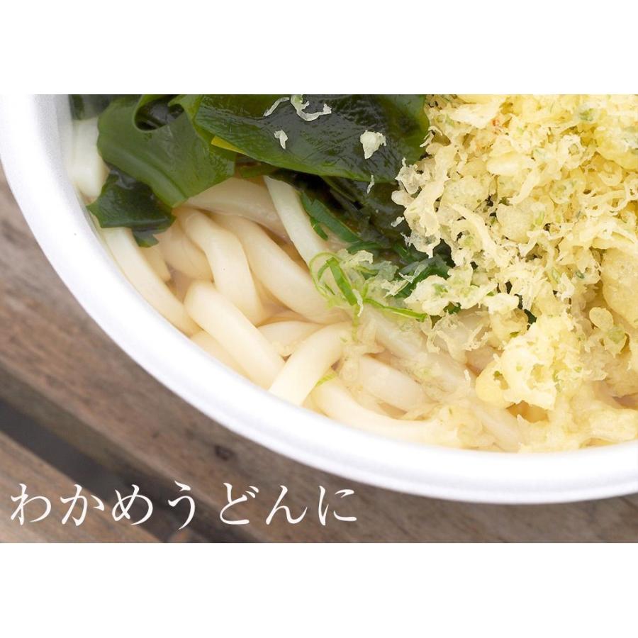 訳あり 乾燥わかめ 80g ワカメ 若芽 わかめスープ 三陸産 ミネラル 海藻 サラダ 買置き わかめ カット 歳末 お歳暮 年末グルメ 贈答 迎春 | おさかな問屋 魚奏 | 17