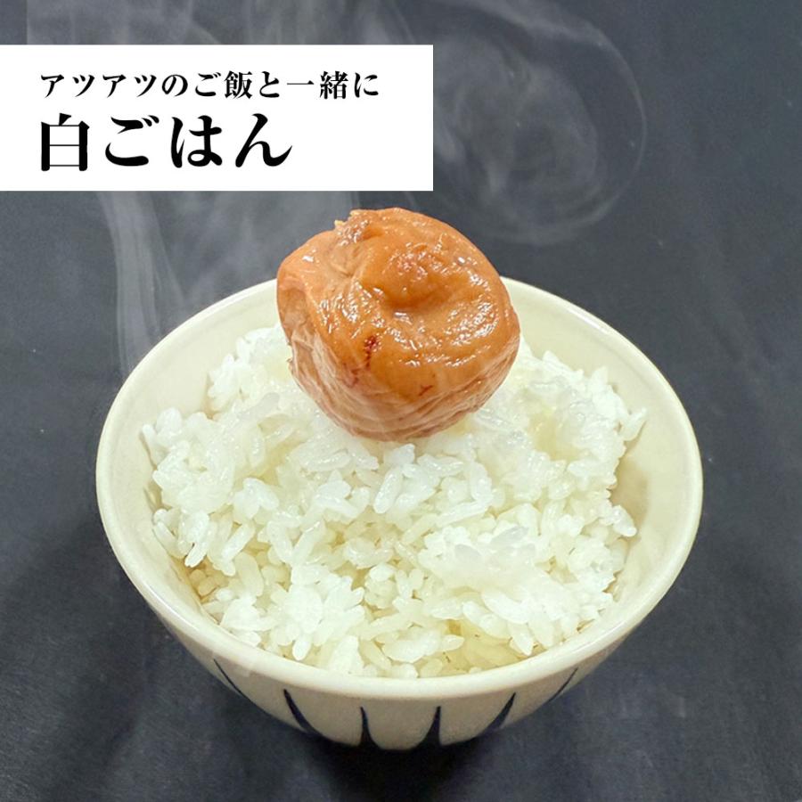 すこし訳あり 紀州南高梅 はちみつ梅 1kg 梅干し うめ ウメ 梅 蜂蜜 徳用 大容量 南高梅 塩分8％ 歳末 お歳暮 年末グルメ 贈答 迎春 | おさかな問屋 魚奏 | 09