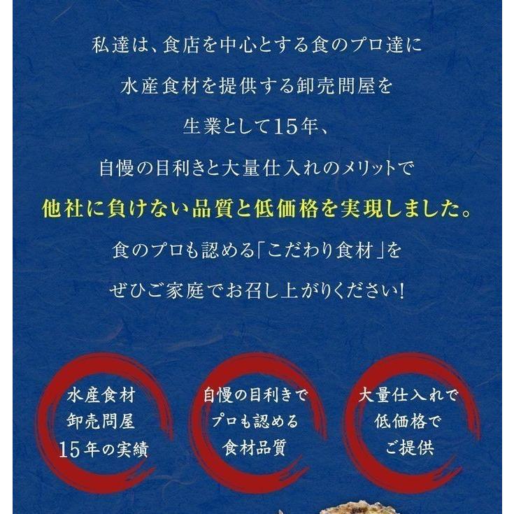 おさかな問屋 魚奏 とろ〜りチーズ ふんわりイカ 訳あり 破格値 180g