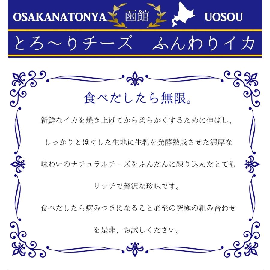 とろ〜りチーズ ふんわりイカ 訳あり 破格値 180g メガ盛り チーズいか のしいか 珍味 酒の肴 歳末 お歳暮 年末グルメ 贈答 迎春 | おさかな問屋 魚奏 | 02
