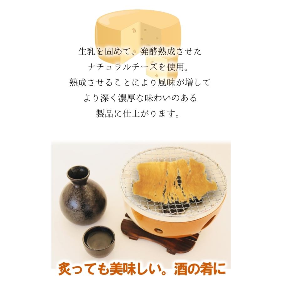 魚奏 とろ〜りチーズ ふんわりイカ 180g 訳あり 送料無料 メガ盛り チーズいか のしいか 珍味 メール便 酒の肴 おつまみ 家飲み 母の日 父の日 おさかな問屋 魚奏 とろ〜りチーズ ふんわりイカ 訳あり 破格値 180g