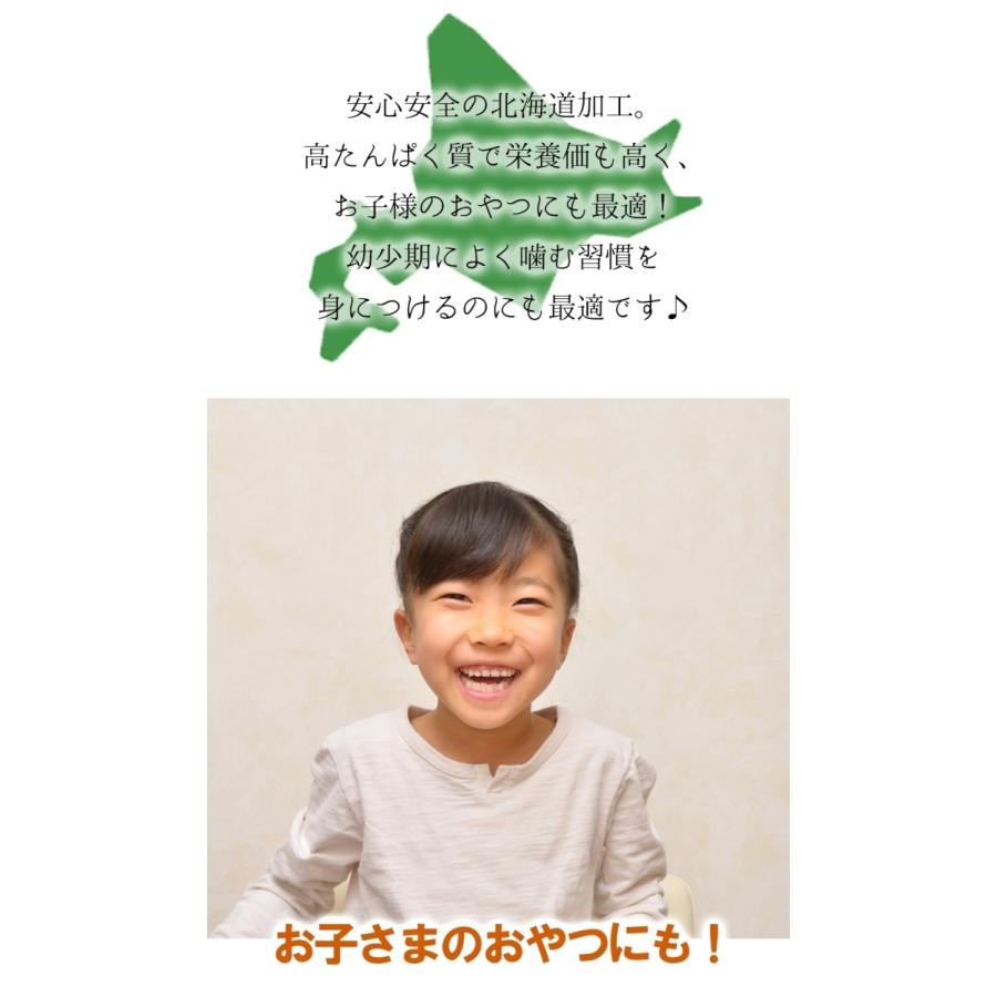 とろ〜りチーズ ふんわりイカ 訳あり 破格値 180g メガ盛り チーズいか のしいか 珍味 酒の肴 歳末 お歳暮 年末グルメ 贈答 迎春 | おさかな問屋 魚奏 | 08