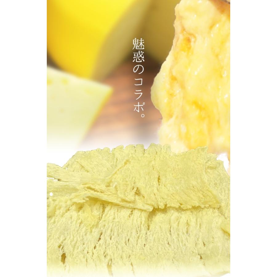 とろ〜りチーズ ふんわりイカ 訳あり 破格値 180g メガ盛り チーズいか のしいか 珍味 酒の肴 歳末 お歳暮 年末グルメ 贈答 迎春 | おさかな問屋 魚奏 | 01