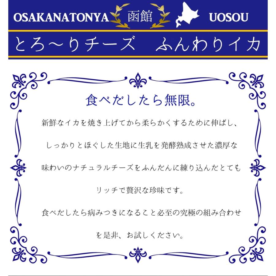 とろ〜りチーズ ふんわりイカ 訳あり 破格値 180g メガ盛り チーズいか のしいか 珍味 酒の肴 歳末 お歳暮 年末グルメ 贈答 迎春 | おさかな問屋 魚奏 | 02