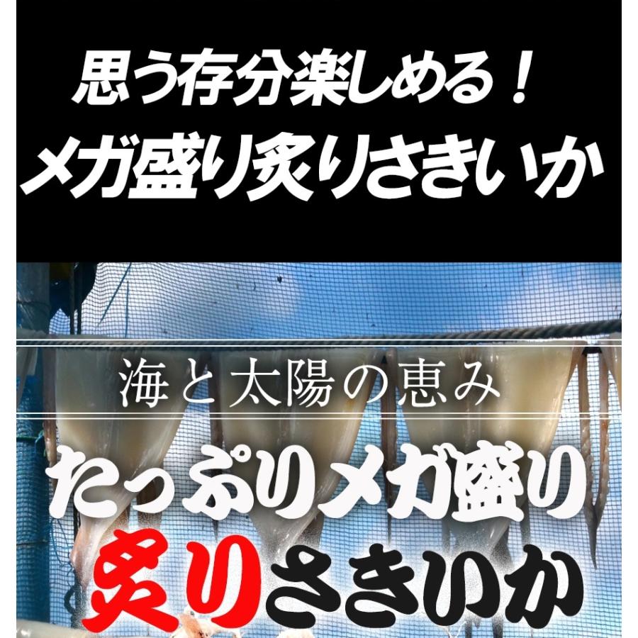 炙りさきいか サキイカ メガ盛り 200g 訳あり 酒の肴 するめ スルメ 在宅 おつまみ メール便 歳末 お歳暮 年末グルメ 贈答 迎春 | おさかな問屋 魚奏 | 12