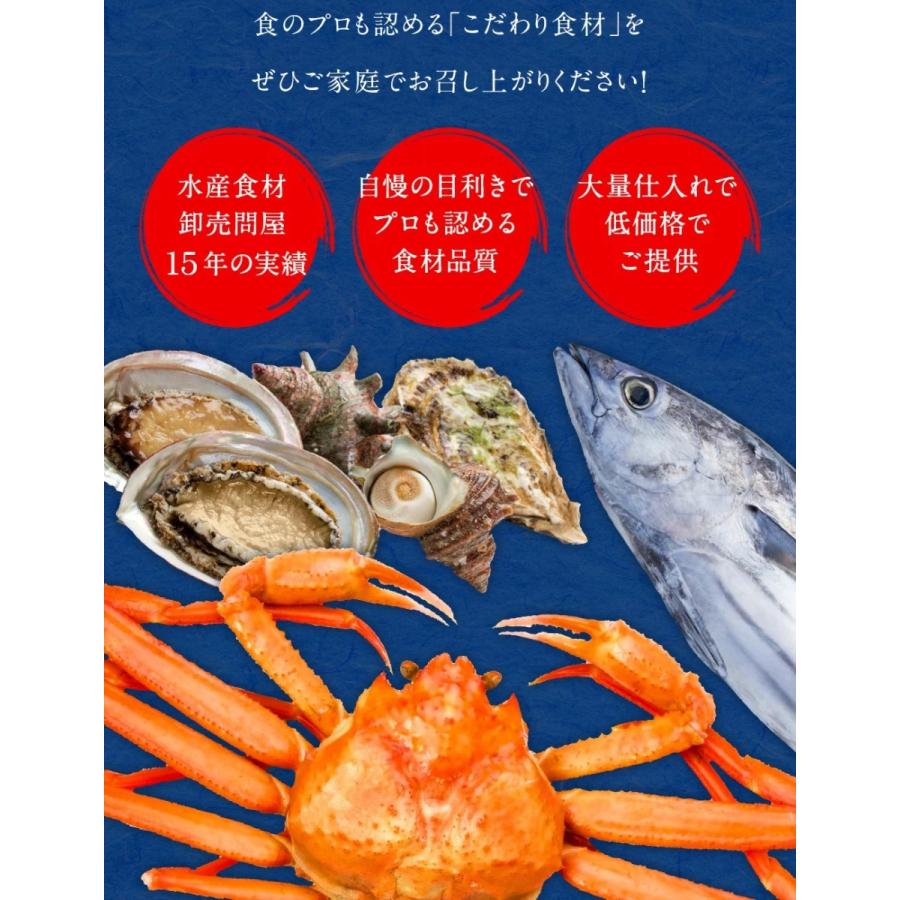 炙りさきいか サキイカ メガ盛り 200g 訳あり 酒の肴 するめ スルメ 在宅 おつまみ メール便｜uosou｜18