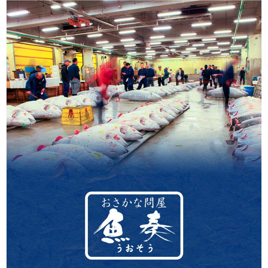 柔らかイカフライ 200g 訳あり いか天 イカ 珍味 最安値挑戦 メガ盛り 酒の肴 在宅 おつまみ 歳末 お歳暮 年末グルメ 贈答 迎春 | おさかな問屋 魚奏 | 11