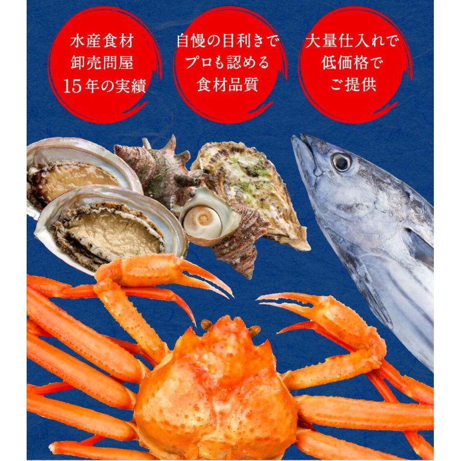 柔らかイカフライ 200g 訳あり いか天 イカ 珍味 最安値挑戦 メガ盛り 酒の肴 在宅 おつまみ 歳末 お歳暮 年末グルメ 贈答 迎春 | おさかな問屋 魚奏 | 12