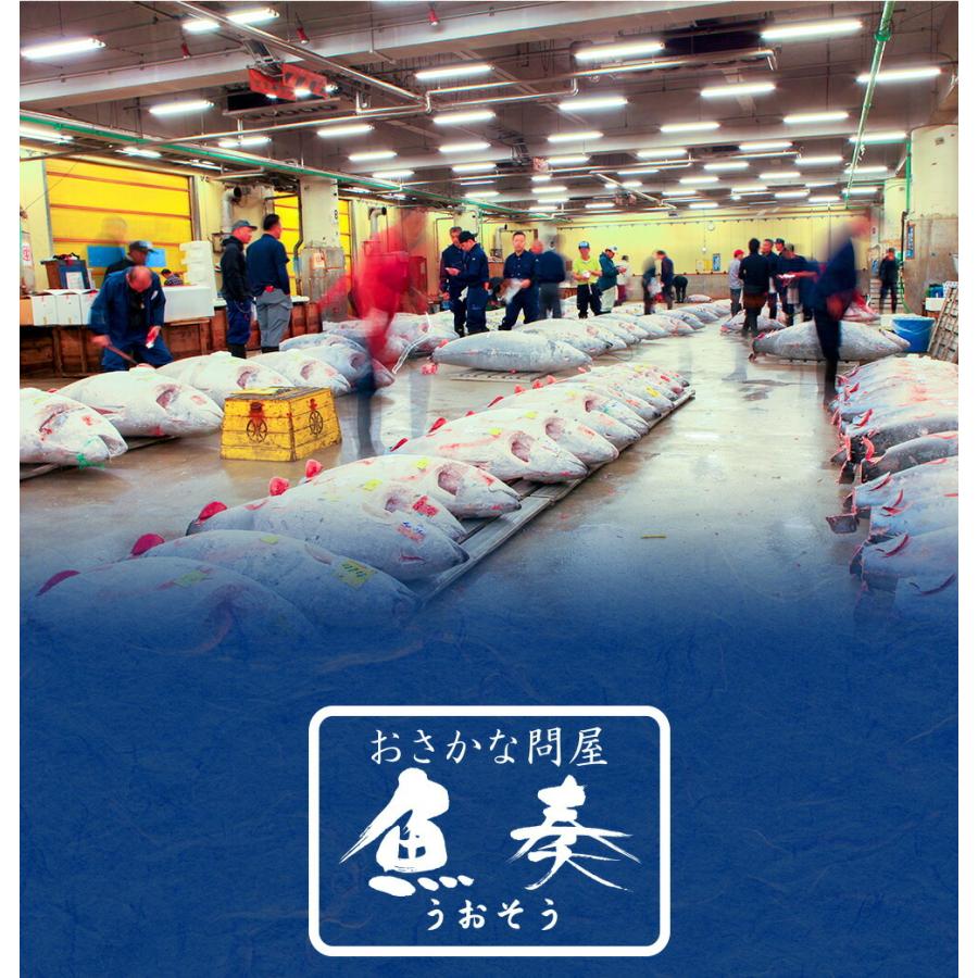いかそうめん 600g 訳あり イカ 珍味 最安値挑戦 メガ盛り 酒の肴 在宅 おつまみ :23514:おさかな問屋 魚奏 - 通販 - Yahoo!ショッピング いかそうめん 600g 訳あり イカ 珍味 最安値挑戦 メガ盛り 酒の肴 在宅 おつまみ :23514:おさかな問屋 魚奏 - 通販 - Yahoo!ショッピング