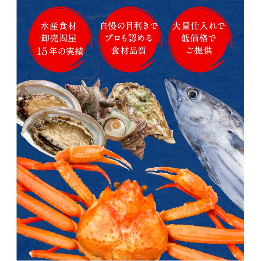 いかそうめん   600g 訳あり イカ 珍味 最安値挑戦 メガ盛り 酒の肴 在宅 おつまみ ネコポス 歳末 お歳暮 年末グルメ 贈答 迎春 | おさかな問屋 魚奏 | 13