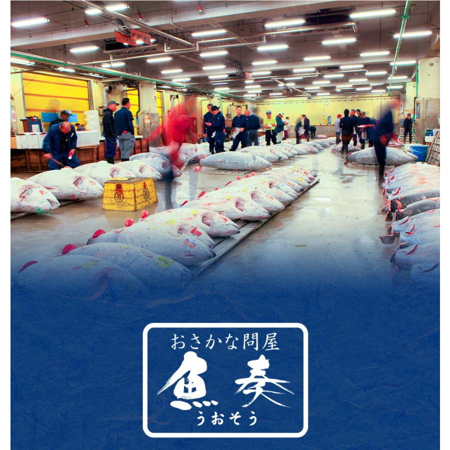 燻製さきいか 300g くんさき 訳あり サキイカ メガ盛り  最安値挑戦 メール便 酒の肴 するめ スルメ 歳末 お歳暮 年末グルメ 贈答 迎春 | おさかな問屋 魚奏 | 13