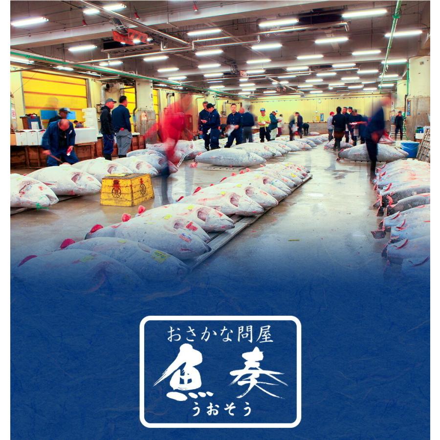 燻製さきいか 1kg くんさき 訳あり サキイカ 業務用 メガ盛り 酒の肴 するめ スルメ 在宅 おつまみ 歳末 お歳暮 年末グルメ 贈答 迎春 | おさかな問屋 魚奏 | 13