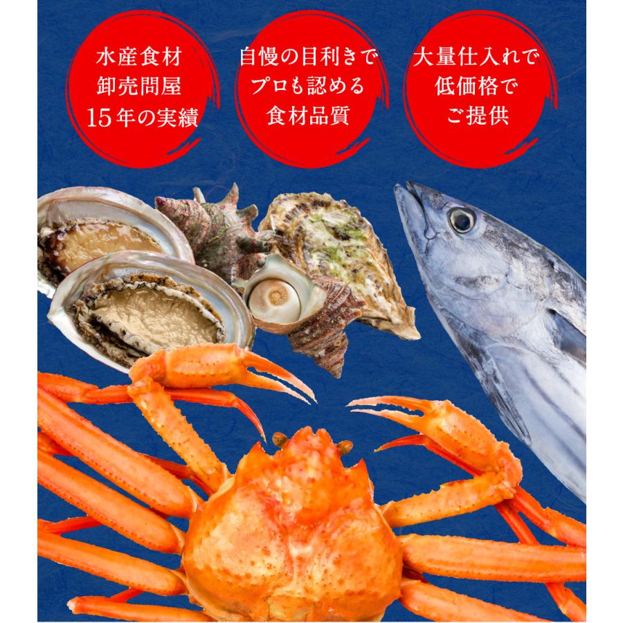 イカ珍味 バラエティセット 6品 1.25kg 訳あり するめ あたりめ イカ 珍味 父の日 メガ盛り 酒の肴 歳末 お歳暮 年末グルメ 贈答 迎春 | おさかな問屋 魚奏 | 16