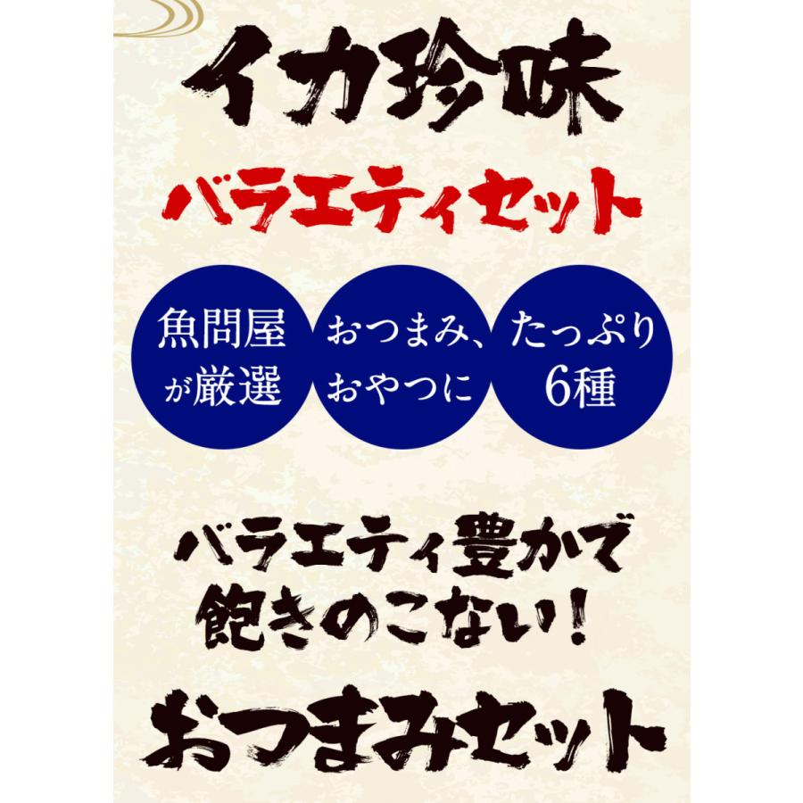 イカ珍味 バラエティセット 6品 1.25kg 訳あり するめ あたりめ イカ 珍味 父の日 メガ盛り 酒の肴 歳末 お歳暮 年末グルメ 贈答 迎春 | おさかな問屋 魚奏 | 03