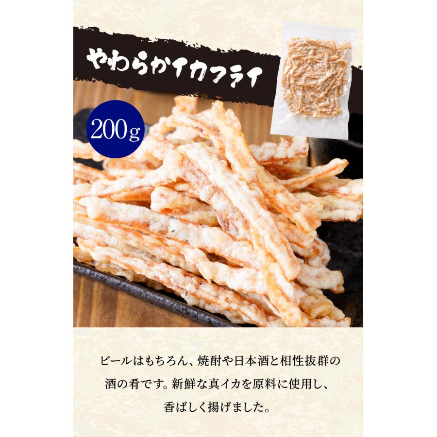イカ珍味 バラエティセット 6品 1.25kg 訳あり するめ あたりめ イカ 珍味 父の日 メガ盛り 酒の肴 歳末 お歳暮 年末グルメ 贈答 迎春 | おさかな問屋 魚奏 | 09