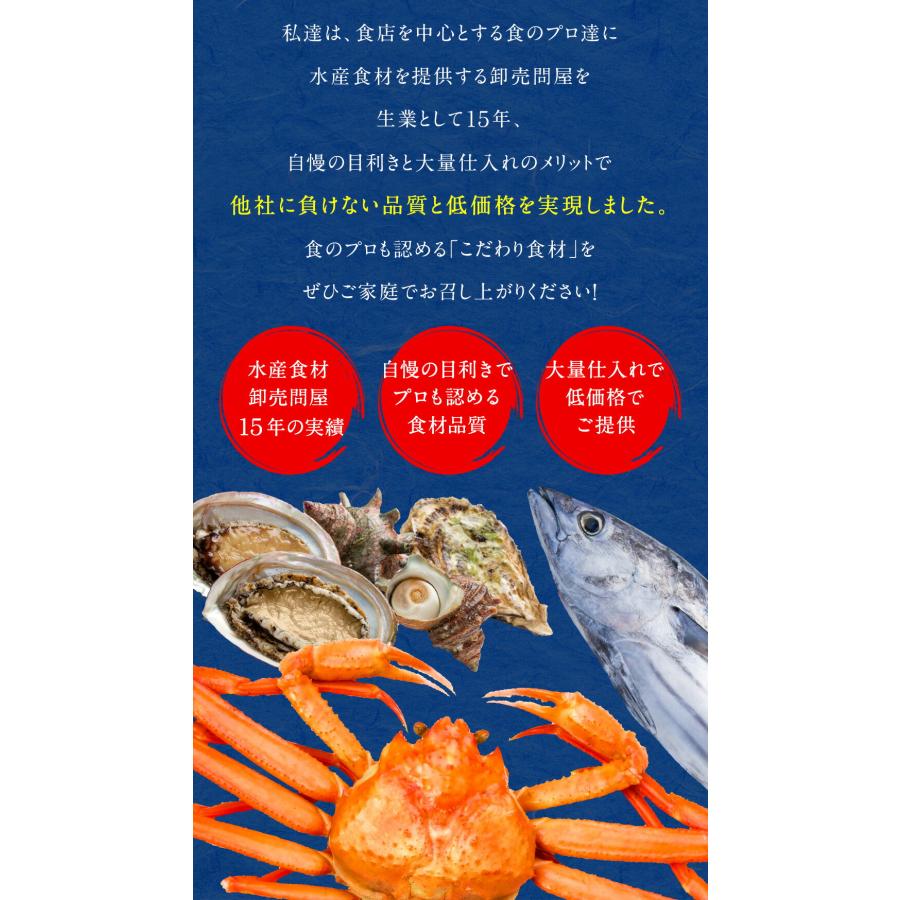 ソフト さきいか 珍味 1kg 訳あり おつまみ  酒の肴 セット 仕送り 業務用 食品 おかず｜uosou｜12