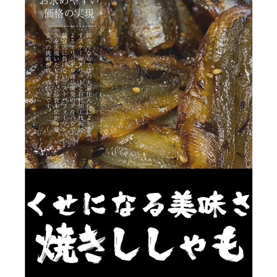焼ししゃも シシャモ 400g みりん干し 在宅 酒の肴 ゆうパケット便 メール便 歳末 お歳暮 年末グルメ 贈答 迎春 | おさかな問屋 魚奏 | 08