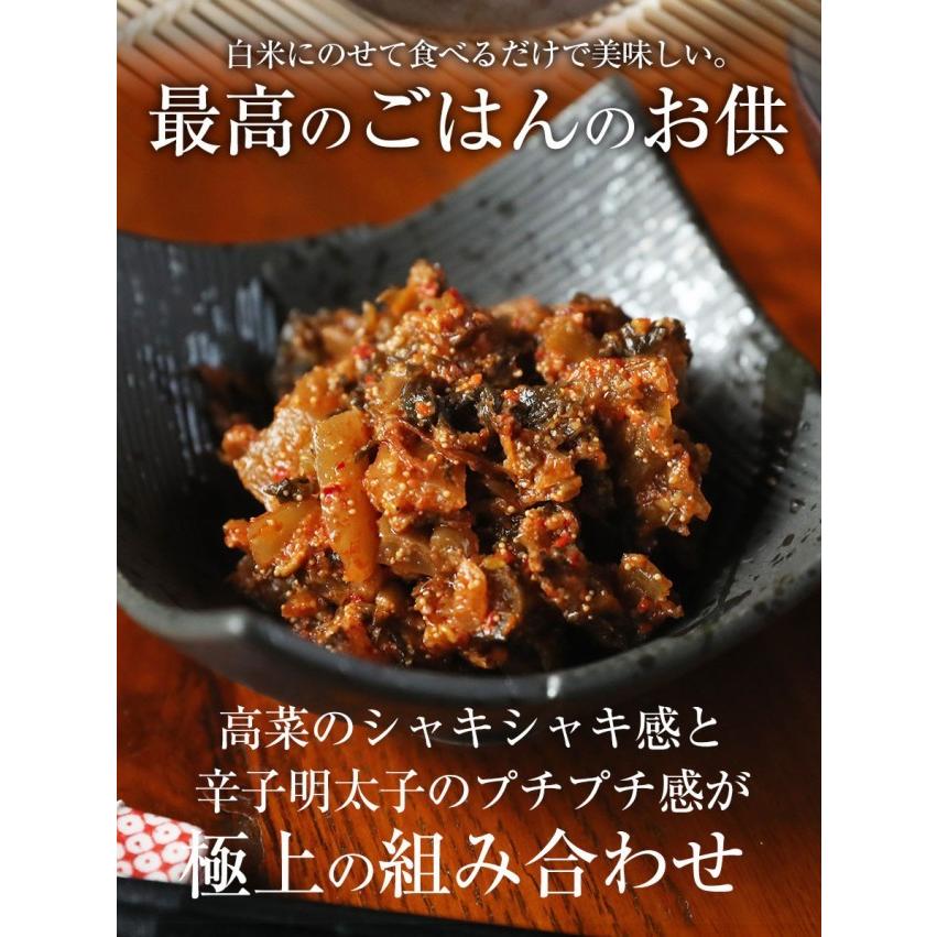 魚屋の明太高菜 辛子高菜 95g×2P 九州博多明太子 メール便 お試し 高菜 めんたい 在宅 母の日 父の日 歳末 お歳暮 年末グルメ 贈答 迎春 | おさかな問屋 魚奏 | 02