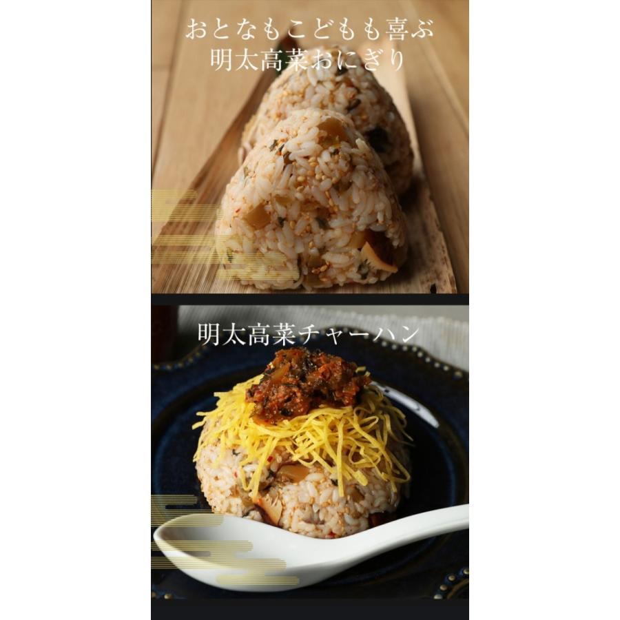 魚屋の明太高菜 辛子高菜 95g×2P 九州博多明太子 メール便 お試し 高菜 めんたい 在宅 母の日 父の日 歳末 お歳暮 年末グルメ 贈答 迎春 | おさかな問屋 魚奏 | 09
