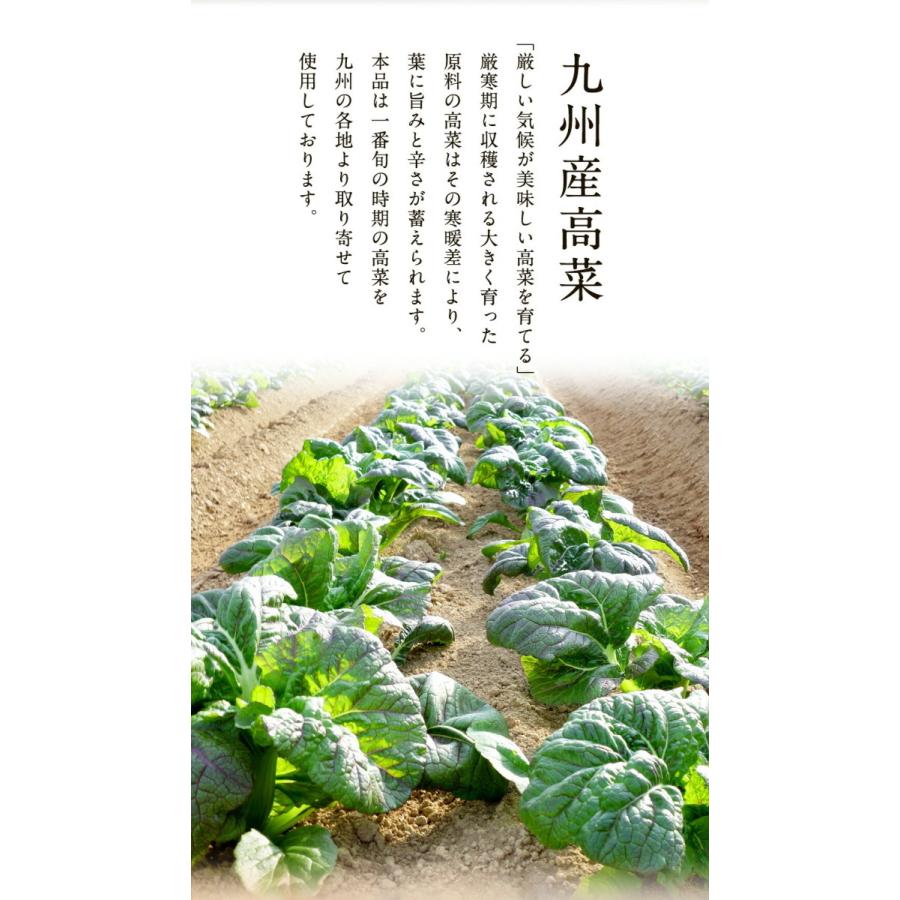 魚屋こだわりのちりめん高菜 90g×4パック 国産ちりめんと九州産高菜使用 ご飯のお供 仕送り 業務用 食品 歳末 お歳暮 年末グルメ 贈答 迎春 | おさかな問屋 魚奏 | 04