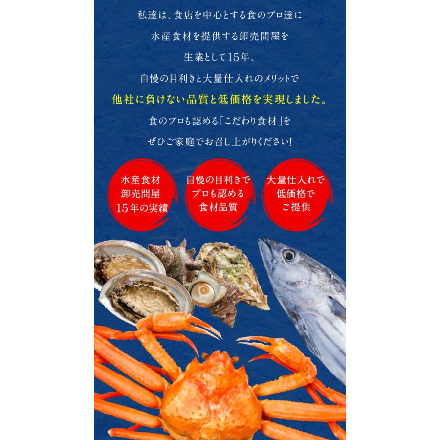 魚屋こだわりのちりめん高菜 90g×10パック 国産ちりめんと九州産高菜使用 ご飯のお供 仕送り 業務用 食品 歳末 お歳暮 年末グルメ 贈答 迎春 | おさかな問屋 魚奏 | 10