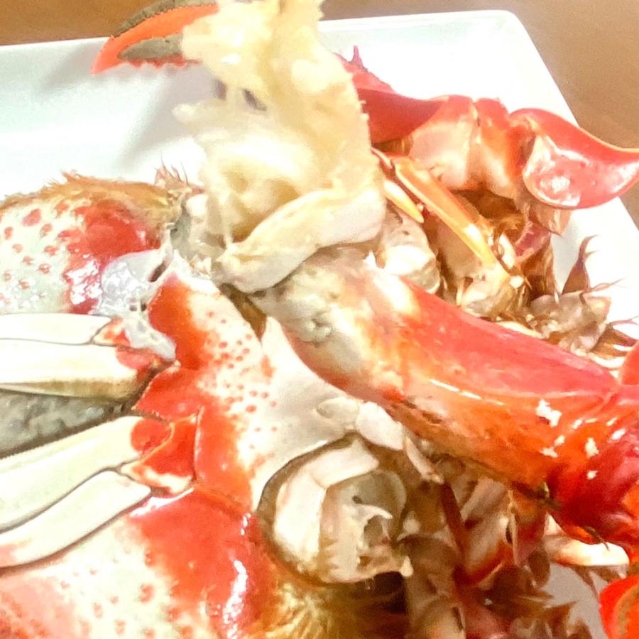 あさひがに 1尾 約600〜700g 生冷凍 旭蟹 朝日蟹 アサヒガニ かに カニ 蟹 送料無料 歳末 お歳暮 年末グルメ 贈答 迎春 | おさかな問屋 魚奏 | 12