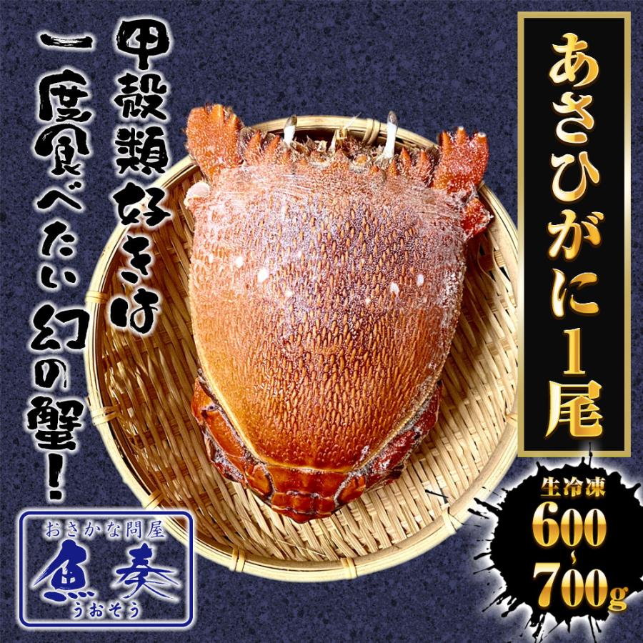 あさひがに 1尾 約600〜700g 生冷凍 旭蟹 朝日蟹 アサヒガニ かに カニ 蟹 送料無料 歳末 お歳暮 年末グルメ 贈答 迎春 | おさかな問屋 魚奏 | 01