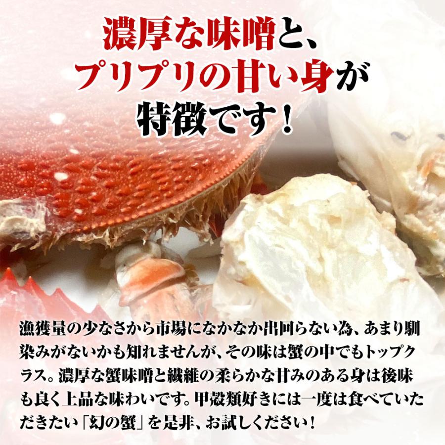あさひがに 1尾 約600〜700g 生冷凍 旭蟹 朝日蟹 アサヒガニ かに カニ 蟹 送料無料 歳末 お歳暮 年末グルメ 贈答 迎春 | おさかな問屋 魚奏 | 03