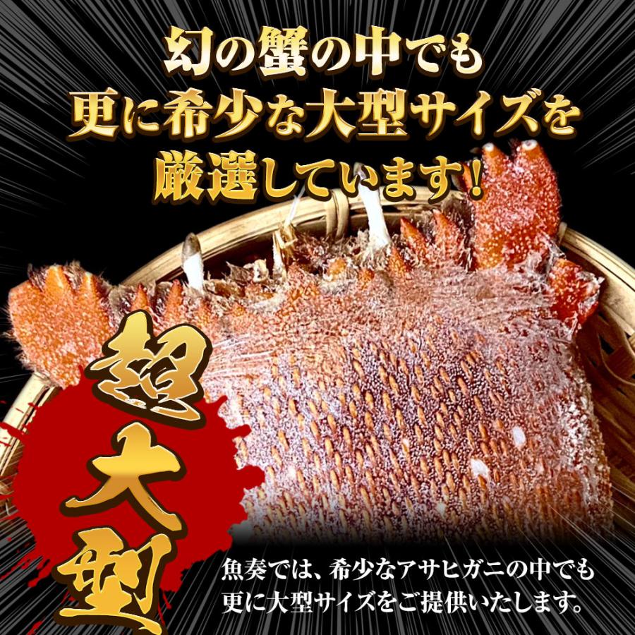 あさひがに 1尾 約600〜700g 生冷凍 旭蟹 朝日蟹 アサヒガニ かに カニ 蟹 送料無料 歳末 お歳暮 年末グルメ 贈答 迎春 | おさかな問屋 魚奏 | 04