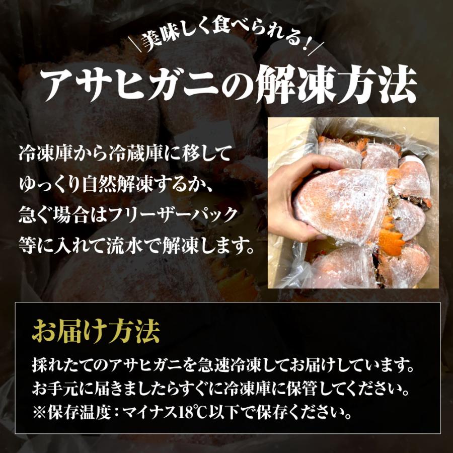 あさひがに 1尾 約600〜700g 生冷凍 旭蟹 朝日蟹 アサヒガニ かに カニ 蟹 送料無料 歳末 お歳暮 年末グルメ 贈答 迎春 | おさかな問屋 魚奏 | 05