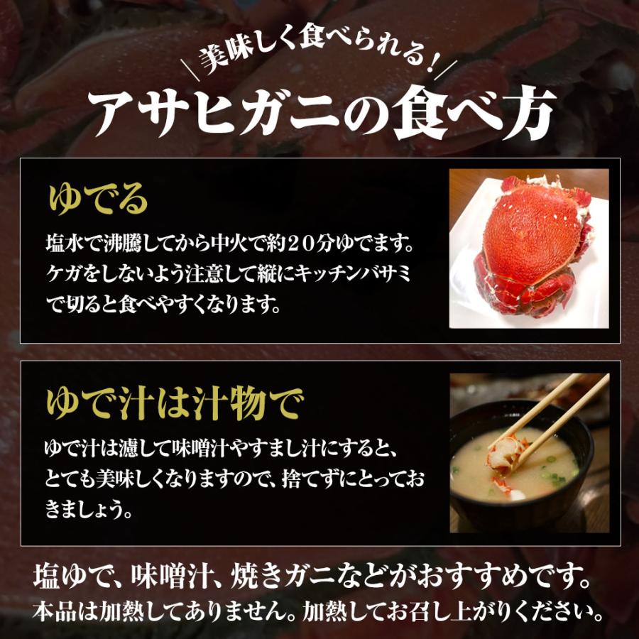 あさひがに 1尾 約600〜700g 生冷凍 旭蟹 朝日蟹 アサヒガニ かに カニ 蟹 送料無料 歳末 お歳暮 年末グルメ 贈答 迎春 | おさかな問屋 魚奏 | 06