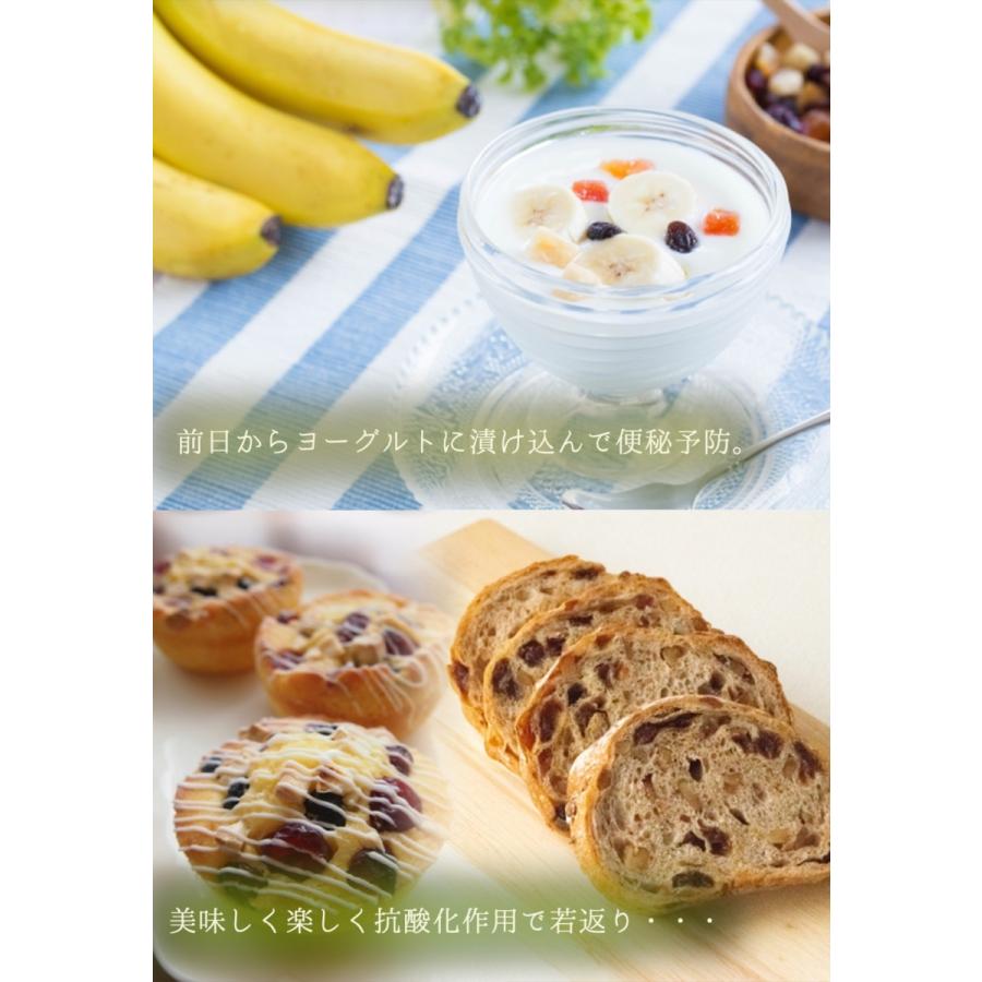 レーズン 850g メガ盛り お徳用 干し葡萄 カリフォルニア ドライフルーツ ぶどう 保存 訳あり 歳末 お歳暮 年末グルメ 贈答 迎春 | おさかな問屋 魚奏 | 10