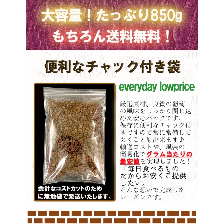 レーズン 850g メガ盛り お徳用 干し葡萄 カリフォルニア ドライフルーツ ぶどう 保存 訳あり 歳末 お歳暮 年末グルメ 贈答 迎春 | おさかな問屋 魚奏 | 11