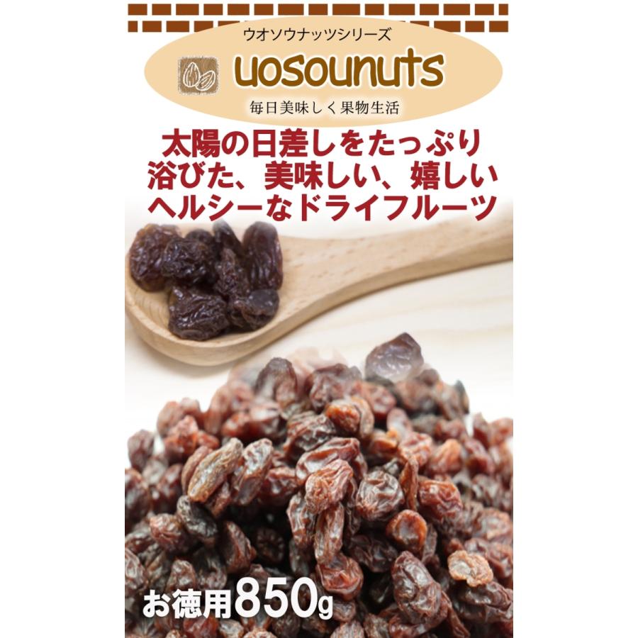 レーズン 850g メガ盛り お徳用 干し葡萄 カリフォルニア ドライフルーツ ぶどう 保存 訳あり 歳末 お歳暮 年末グルメ 贈答 迎春 | おさかな問屋 魚奏 | 12