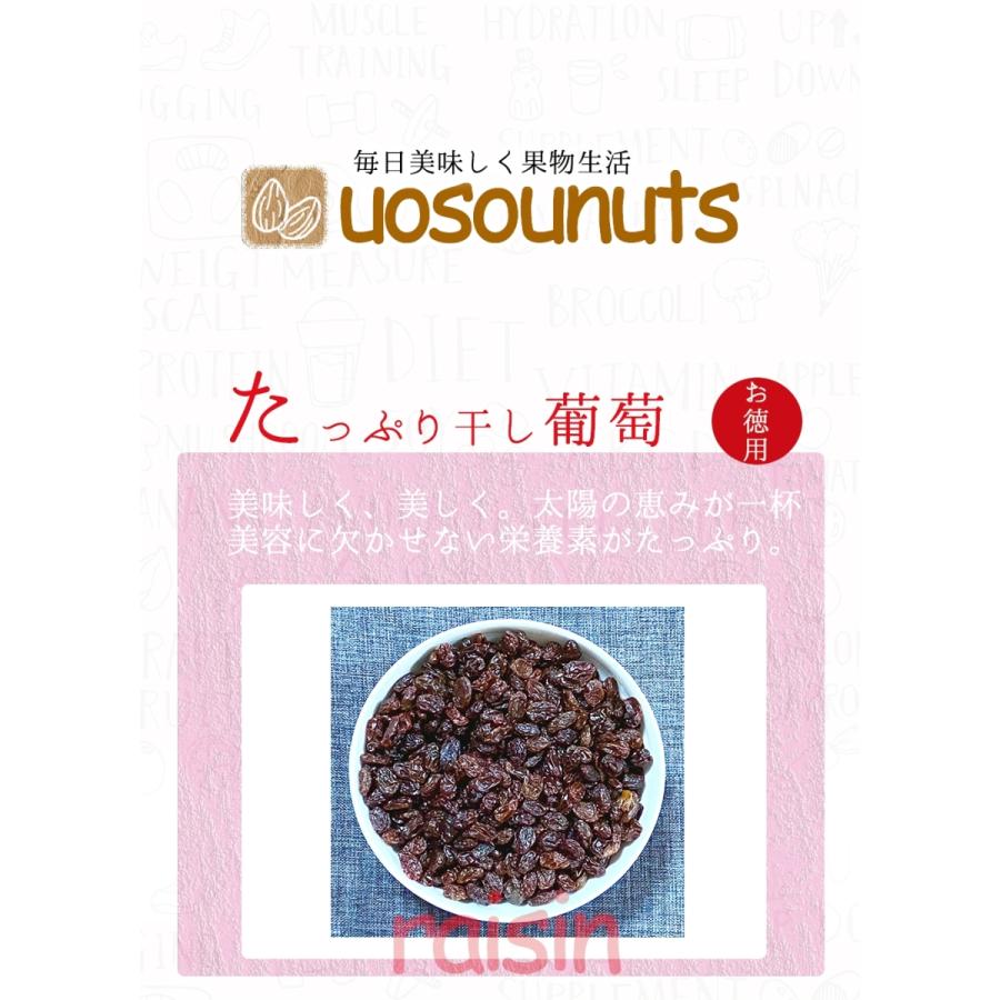 レーズン 850g メガ盛り お徳用 干し葡萄 カリフォルニア ドライフルーツ ぶどう 保存 訳あり 歳末 お歳暮 年末グルメ 贈答 迎春 | おさかな問屋 魚奏 | 15