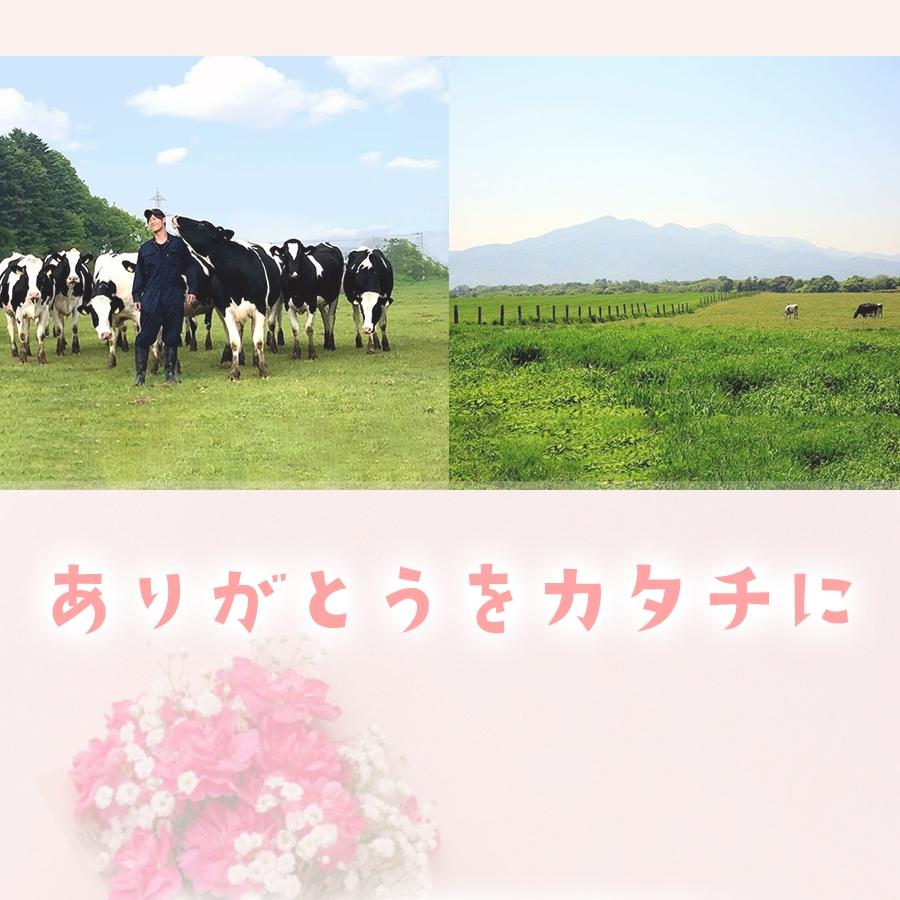 のぼりべつ 牛乳プリン 4個入り 北海道 ご当地 プリン pudding 母の日 父の日 ギフト 贈り物2 歳末 お歳暮 年末グルメ 贈答 迎春 | おさかな問屋 魚奏 | 10