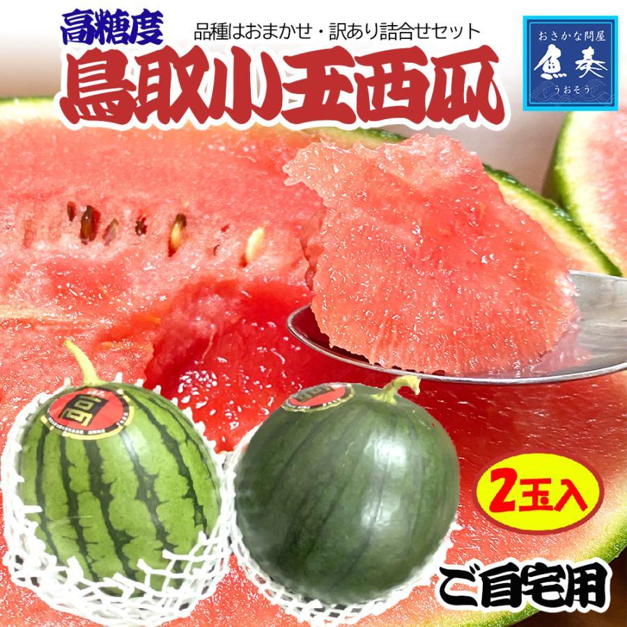 おさかな問屋 魚奏 高糖度 鳥取 小玉すいか 2玉入 ご自宅用 訳あり