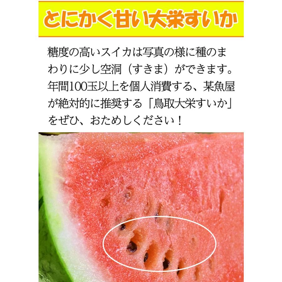 高糖度 大栄 すいか 約7kg以上 大玉 鳥取 北栄町 優品 産地直送 スイカ 西瓜 父の日 ギフト 箱売り 歳末 お歳暮 年末グルメ 贈答 迎春 | おさかな問屋 魚奏 | 12
