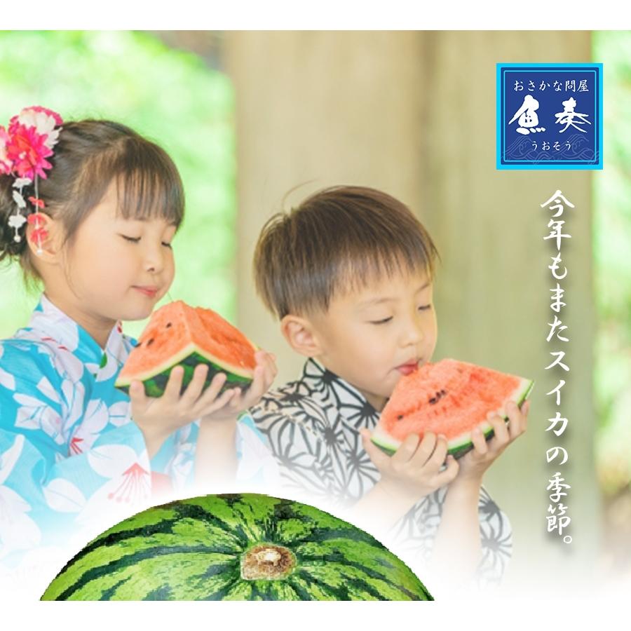 高糖度 大栄 すいか 約7kg以上 大玉 鳥取 北栄町 優品 産地直送 スイカ 西瓜 父の日 ギフト 箱売り 歳末 お歳暮 年末グルメ 贈答 迎春 | おさかな問屋 魚奏 | 01
