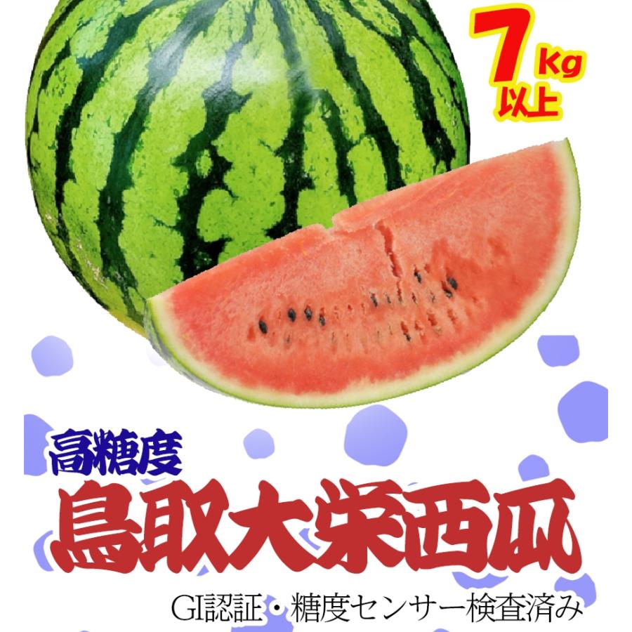 高糖度 大栄 すいか 約7kg以上 大玉 鳥取 北栄町 優品 産地直送 スイカ 西瓜 父の日 ギフト 箱売り 歳末 お歳暮 年末グルメ 贈答 迎春 | おさかな問屋 魚奏 | 02