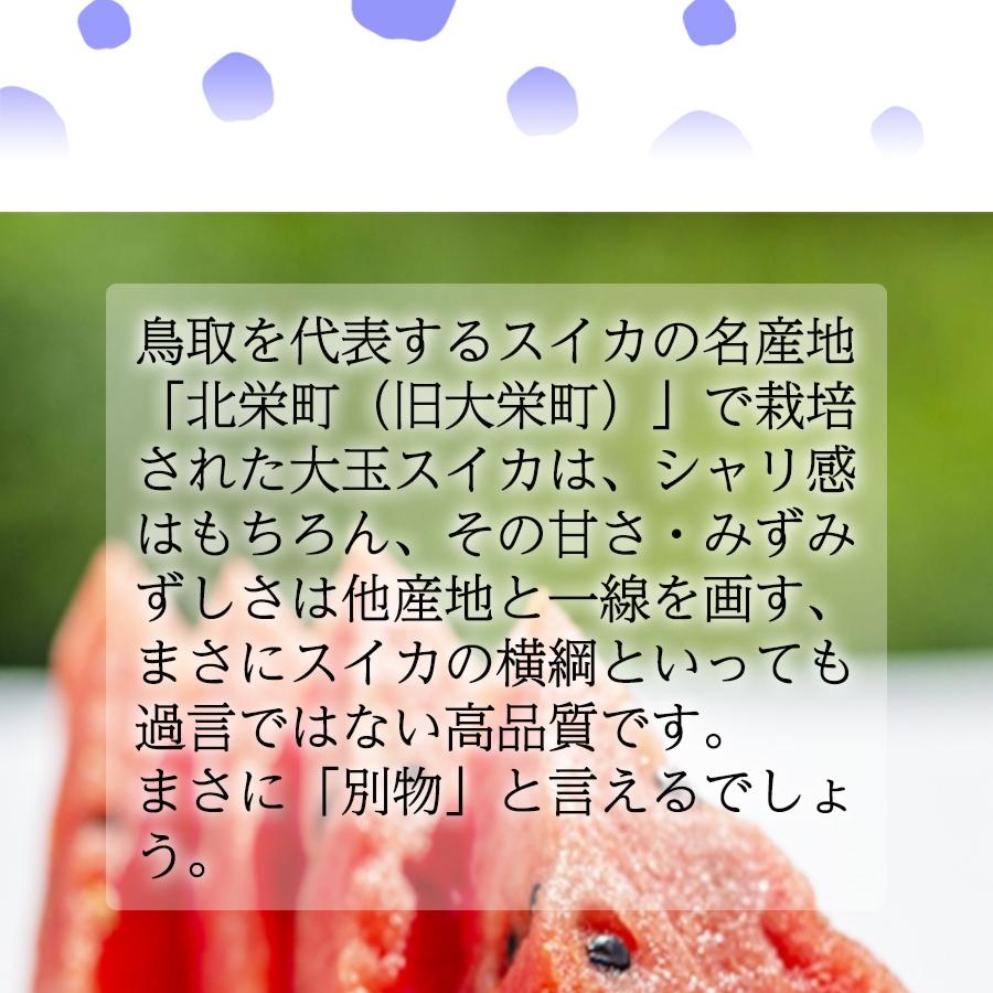 高糖度 大栄 すいか 約7kg以上 大玉 鳥取 北栄町 優品 産地直送 スイカ 西瓜 父の日 ギフト 箱売り 歳末 お歳暮 年末グルメ 贈答 迎春 | おさかな問屋 魚奏 | 03