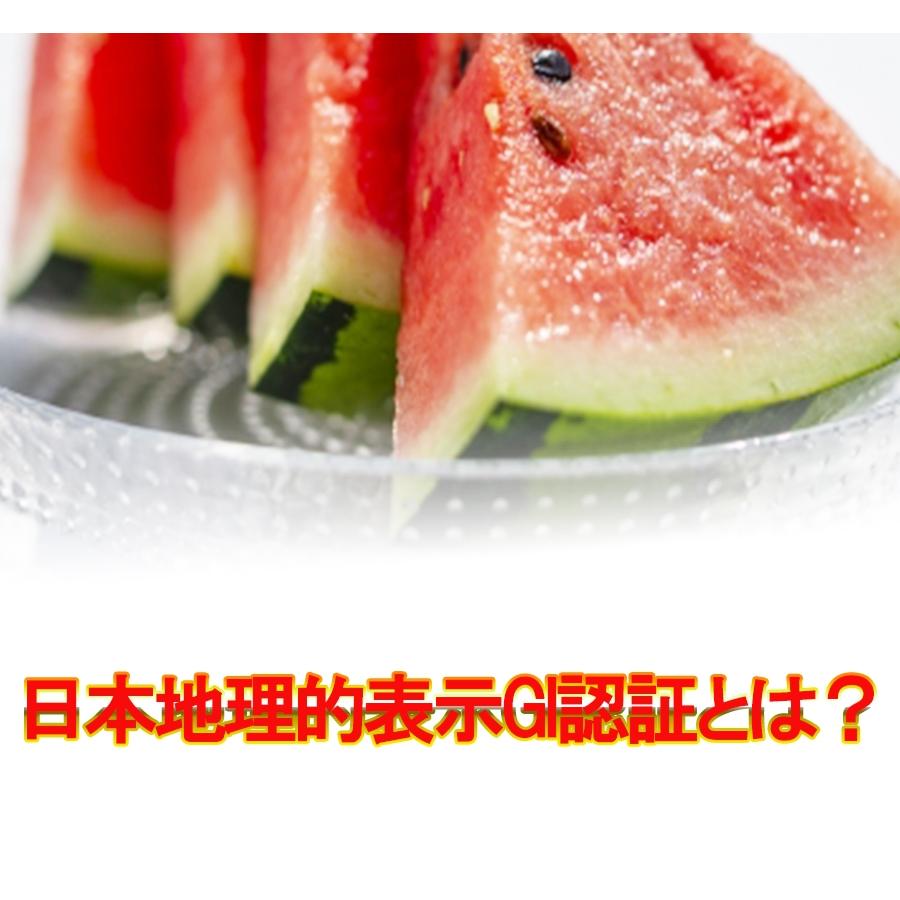 高糖度 大栄 すいか 約7kg以上 大玉 鳥取 北栄町 優品 産地直送 スイカ 西瓜 父の日 ギフト 箱売り 歳末 お歳暮 年末グルメ 贈答 迎春 | おさかな問屋 魚奏 | 04