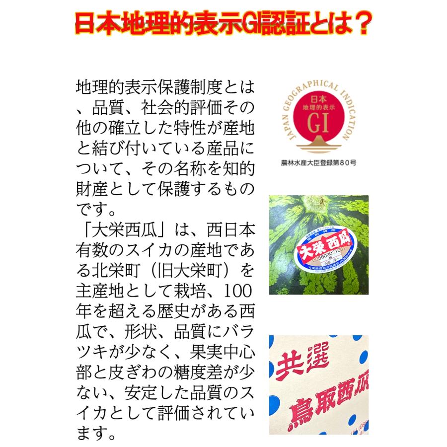 高糖度 大栄 すいか 約7kg以上 大玉 鳥取 北栄町 優品 産地直送 スイカ 西瓜 父の日 ギフト 箱売り 歳末 お歳暮 年末グルメ 贈答 迎春 | おさかな問屋 魚奏 | 05