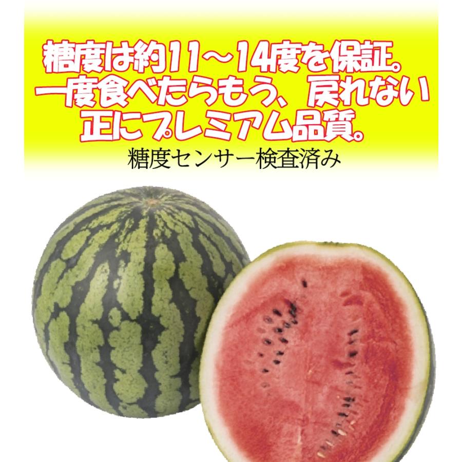高糖度 大栄 すいか 約7kg以上 大玉 鳥取 北栄町 優品 産地直送 スイカ 西瓜 父の日 ギフト 箱売り 歳末 お歳暮 年末グルメ 贈答 迎春 | おさかな問屋 魚奏 | 08